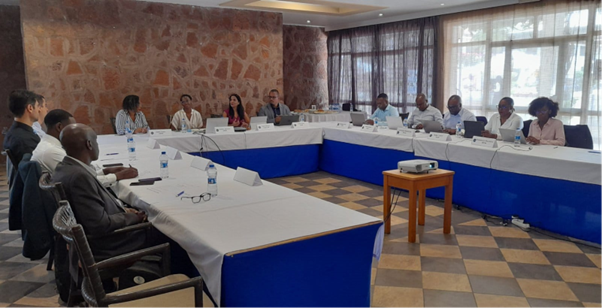 Participantes da reunião do Grupo de Trabalho de Estatística da ARCTEL, presidida por Carla Silveira, Consultora do Gabinete de Relações Externas e Desenvolvimento da ANACOM.